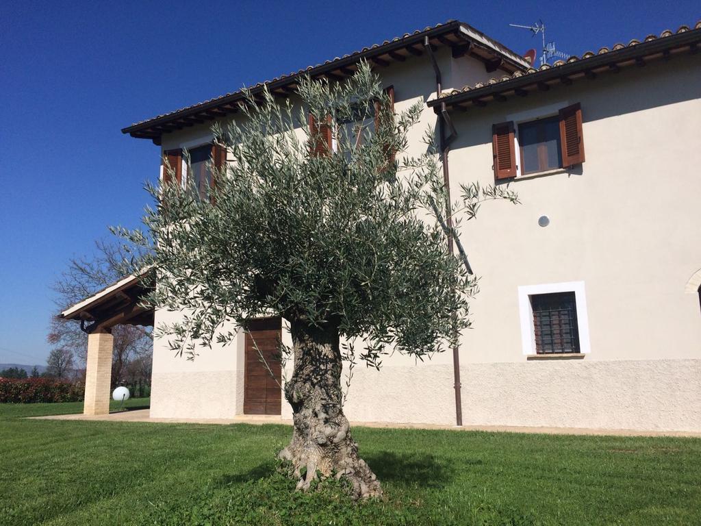 Podere Le Volte Degli Angeli Spello Exterior foto