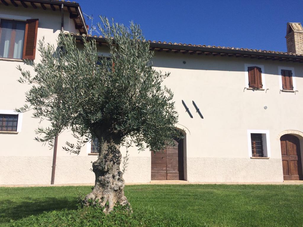 Podere Le Volte Degli Angeli Spello Exterior foto