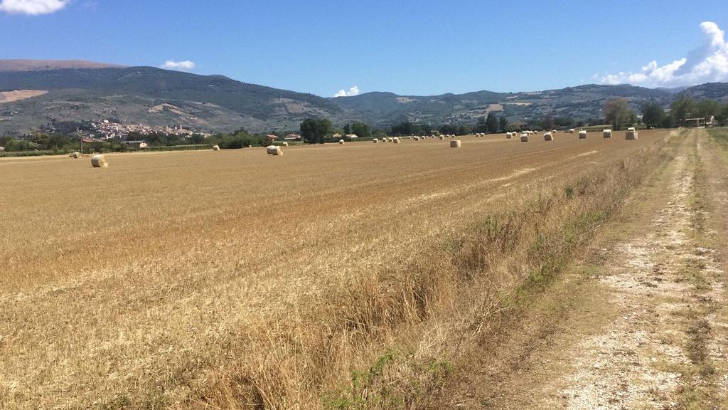 Podere Le Volte Degli Angeli Spello Exterior foto