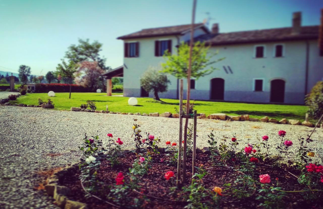 Podere Le Volte Degli Angeli Spello Exterior foto